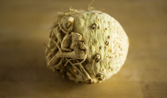 celeriac