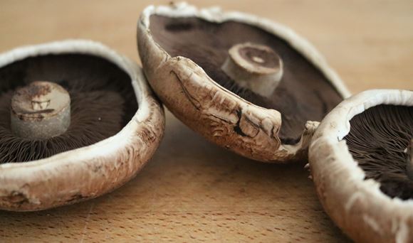 portobello mushrooms